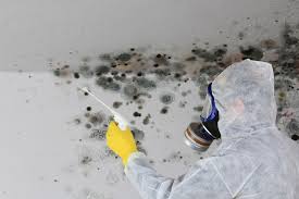 Best Residential Mold Inspection & Testing  in Middlefield, OH